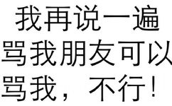 我再说一遍，骂我朋友可以！骂我，不行！ - 斗图方式有很多，个人独爱纯文字