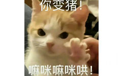 你变猪！嘛咪嘛咪哄！