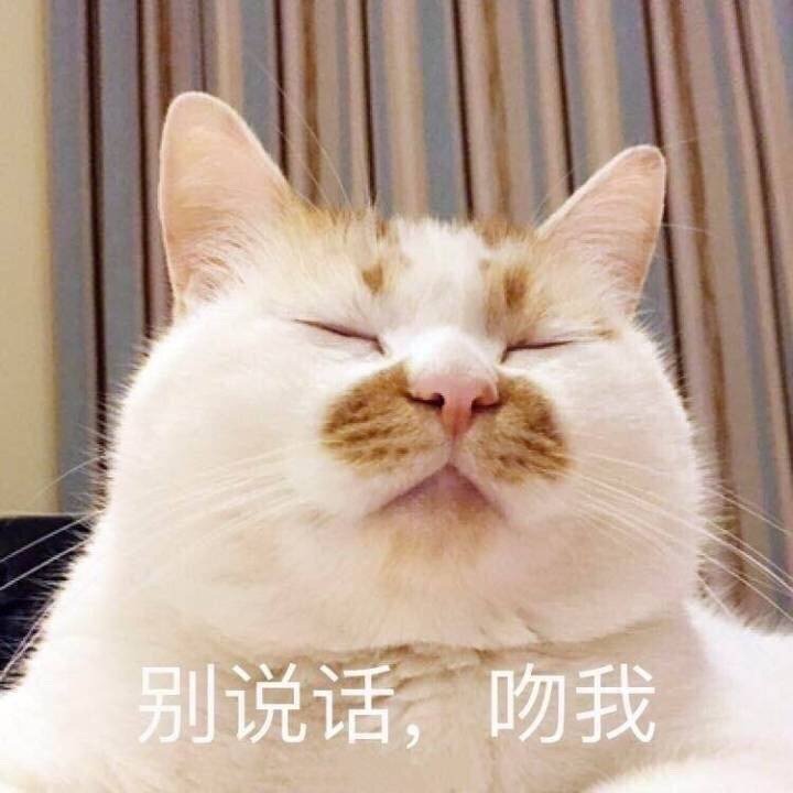 别说话，吻我（猫咪表情包）