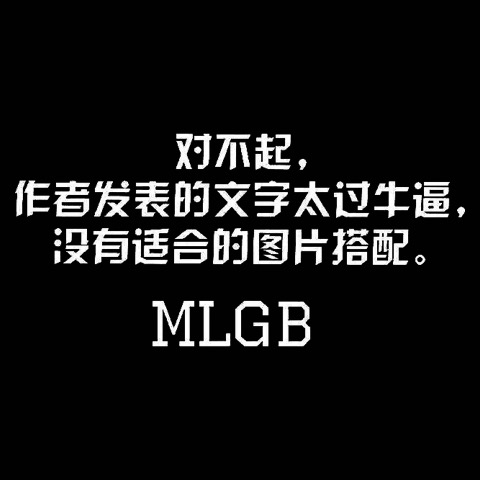 对不起，作者发表的文字太过牛逼，没有适合的图片搭配（MLGB） - 没有图片的表情