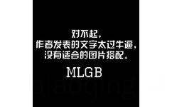 对不起，作者发表的文字太过牛逼，没有适合的图片搭配（MLGB） - 没有图片的表情