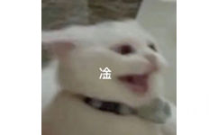 凎(猫猫表情包)