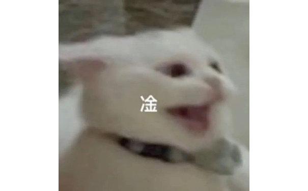 凎(猫猫表情包)