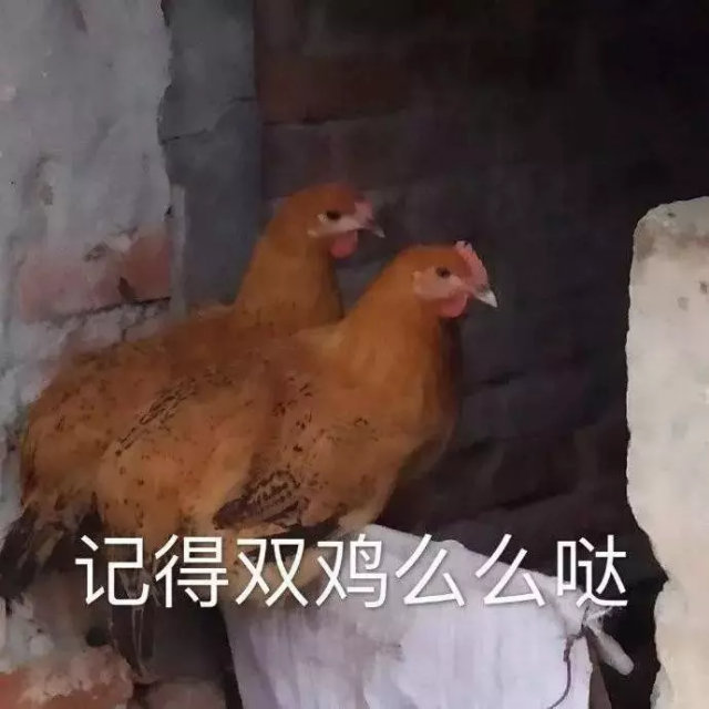 记得双鸡么么哒