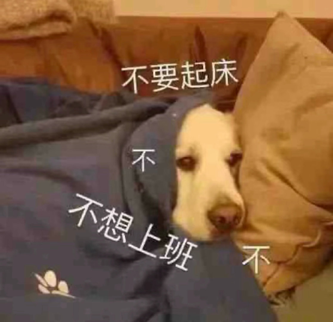 不要起床不不想上班