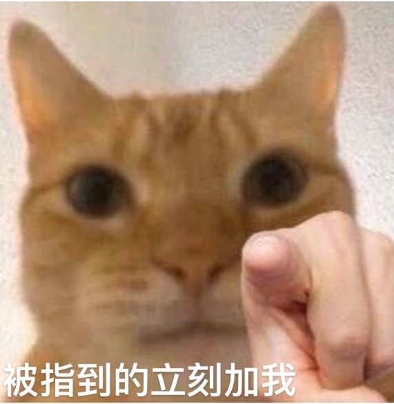 被指到的立刻加我(猫咪表情包)