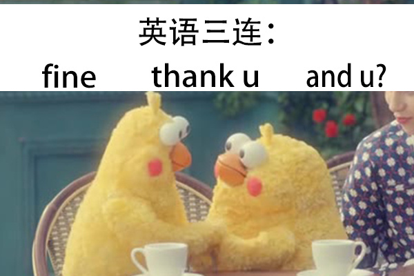 英语三连 fine thank u and u - 鹦鹉兄弟最新三连表情包~ ​