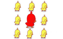 大红鸭与一群魔性小黄鸭跳舞蹦迪 GIF 动图 - 最近抖音很火的魔性小黄鸭表情包
