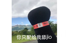 阿蘸20你只配给我舔jio - 熊本熊大拳头系列