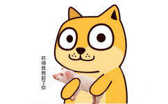 吓得我抱起了你（猪猪）