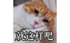 就这样吧(猫咪)