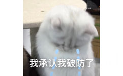 我承认我破防了(猫猫表情包)