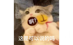 啊?这是可以说的吗(猫猫表情包) - 可爱猫猫表情包