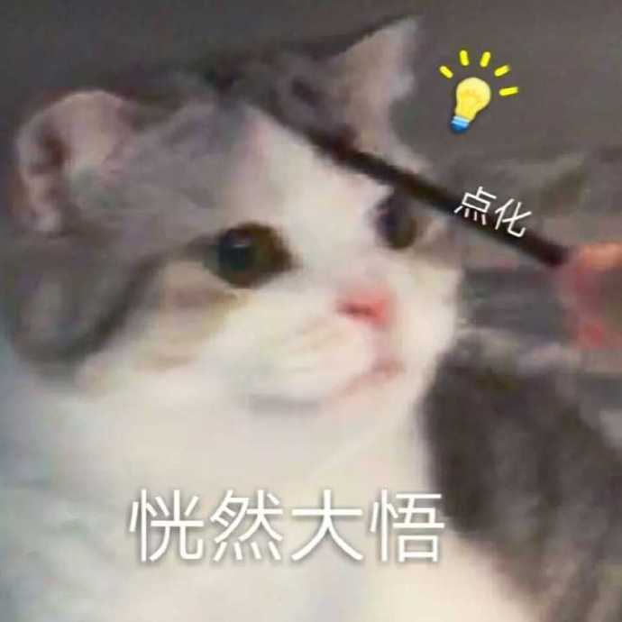 点化恍然大悟(猫猫表情包)