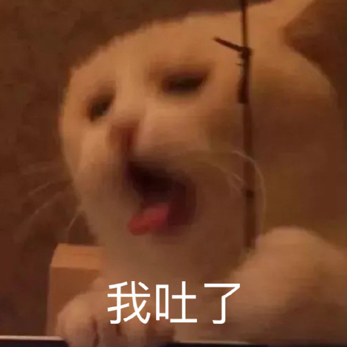 我吐了(猫咪表情包)