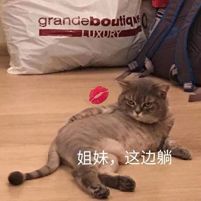 姐妹,这边躺