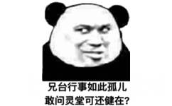 兄台行事如此孤儿敢问灵堂可还健在?(熊猫头斗图表情包)