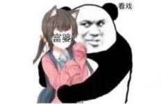 熊猫头抱着富婆看戏