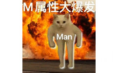 M属性大爆发Man