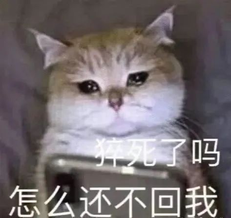 猝死了吗怎么还不回我