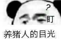 盯？养猪人的目光