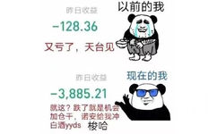 昨日收益以前的我-128.36又亏了,天台见昨日收益现在的我-3,885.21就这?跌了就是机会加仓干,诺安给我冲白酒yyds梭哈