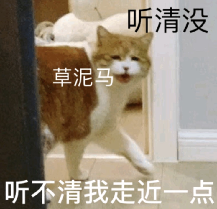 听清没 草泥马听不清我走近一点 - 一组橘猫表情包