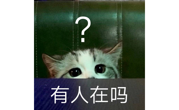 有人在吗 - 猫咪喵星人斗图表情包