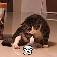 秀！（猫咪竖大拇指点赞）