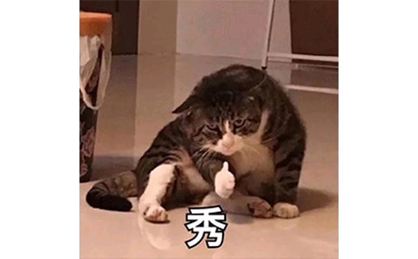 秀！（猫咪竖大拇指点赞）