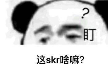 这 skr 啥嘛？熊猫头问号表情包 - 《中国新说唱》skr表情包