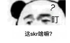 这 skr 啥嘛？熊猫头问号表情包 - 《中国新说唱》skr表情包