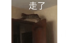 走了(猫猫表情包)