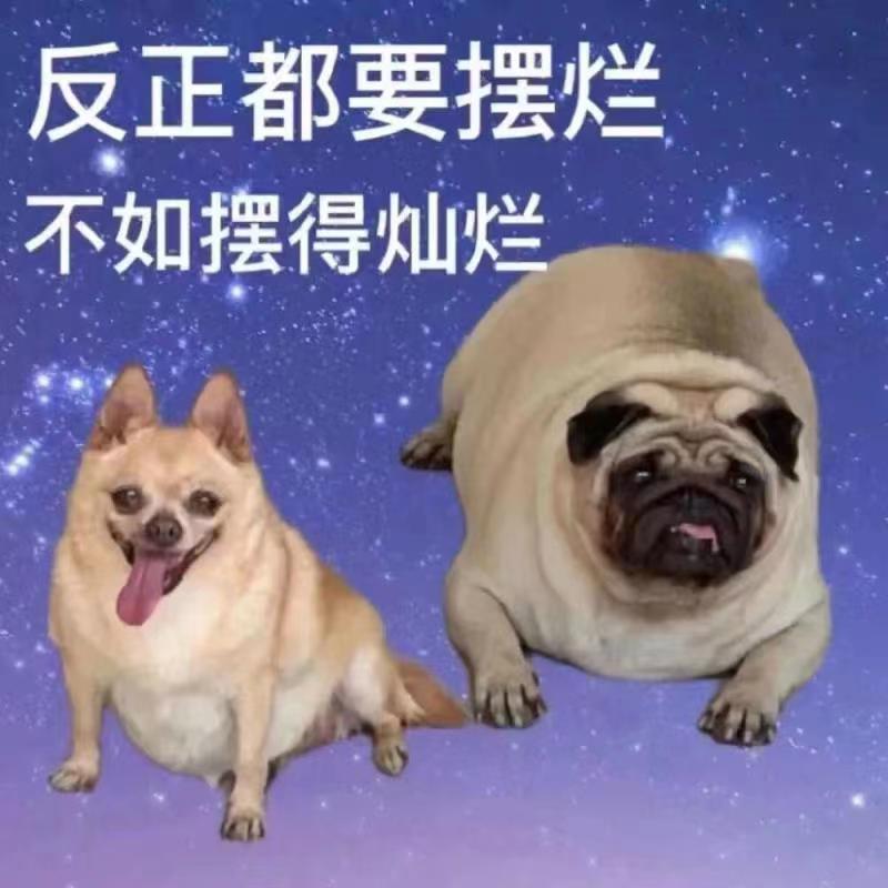 反正都要摆烂不如摆得灿烂