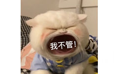 我不管! - 大嘴猫猫咪表情包