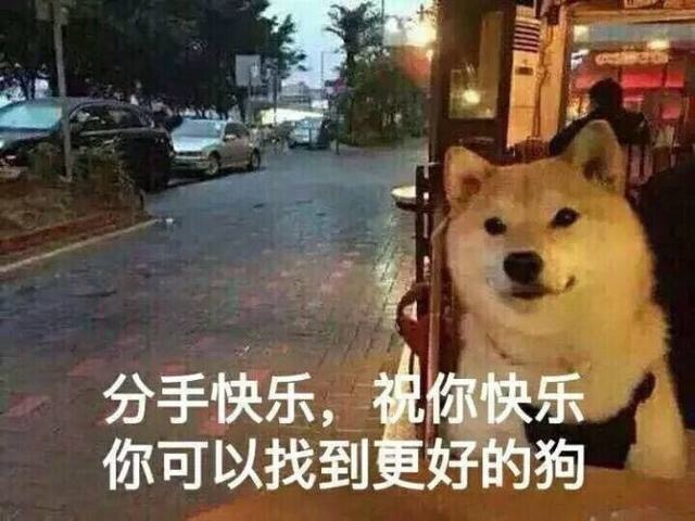 分手快乐，祝你快乐！你可以找到更好的狗（单身狗 doge）