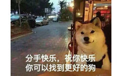 分手快乐，祝你快乐！你可以找到更好的狗（单身狗 doge）