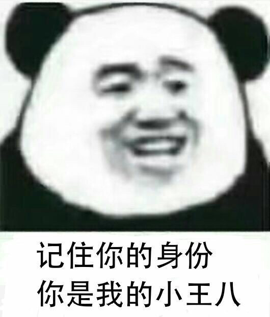 记住你的身份，你是我的小王八