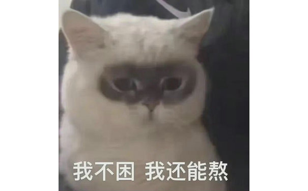 我不困我还能熬(猫咪表情包)