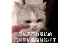 反抗是不敢反抗的 只能偷偷略略略这样子（猫咪）