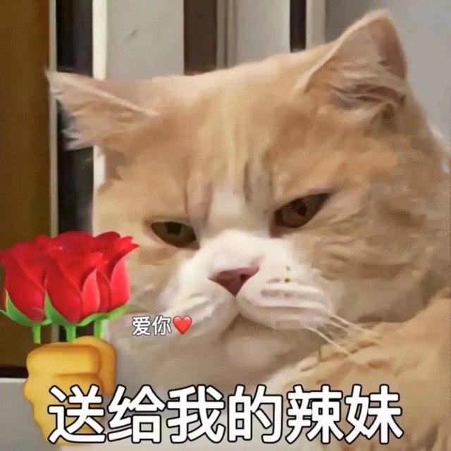 爱你送给我的辣妹(猫猫拿玫瑰花表情包)