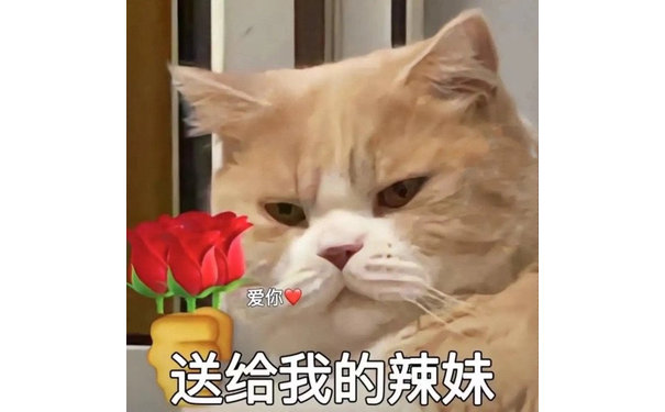 爱你送给我的辣妹(猫猫拿玫瑰花表情包)