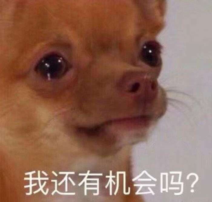 我还有机会吗？