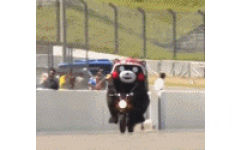 熊本熊骑摩托车动态表情包