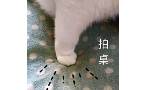 猫咪拍桌