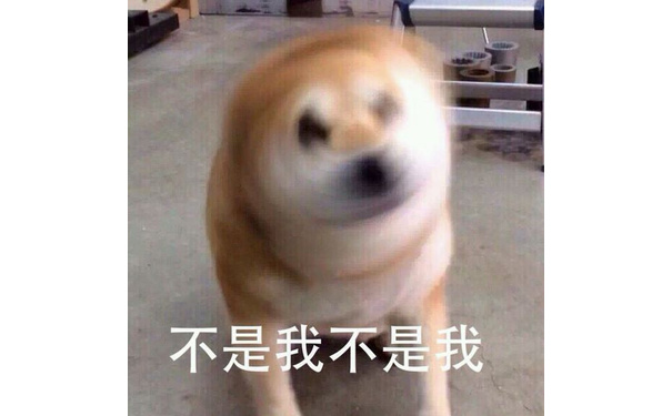 不是我，不是我 - doge的内心独白