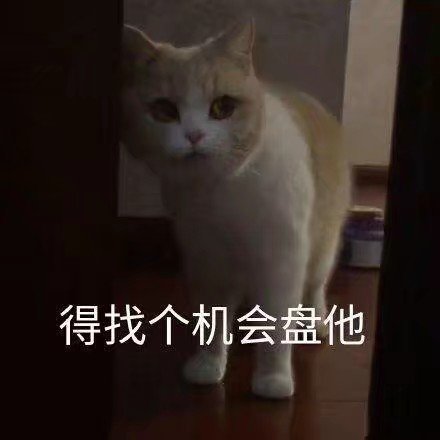 得找个机会盘他