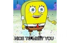 NICE TO MEET YOU