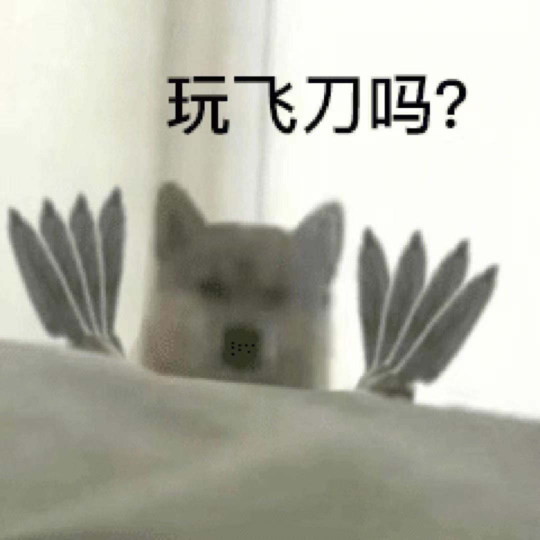 玩飞刀吗?