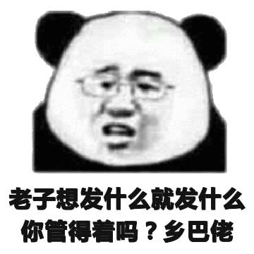 老子想发什么就发什么你管得着吗?乡巴佬(熊猫头)